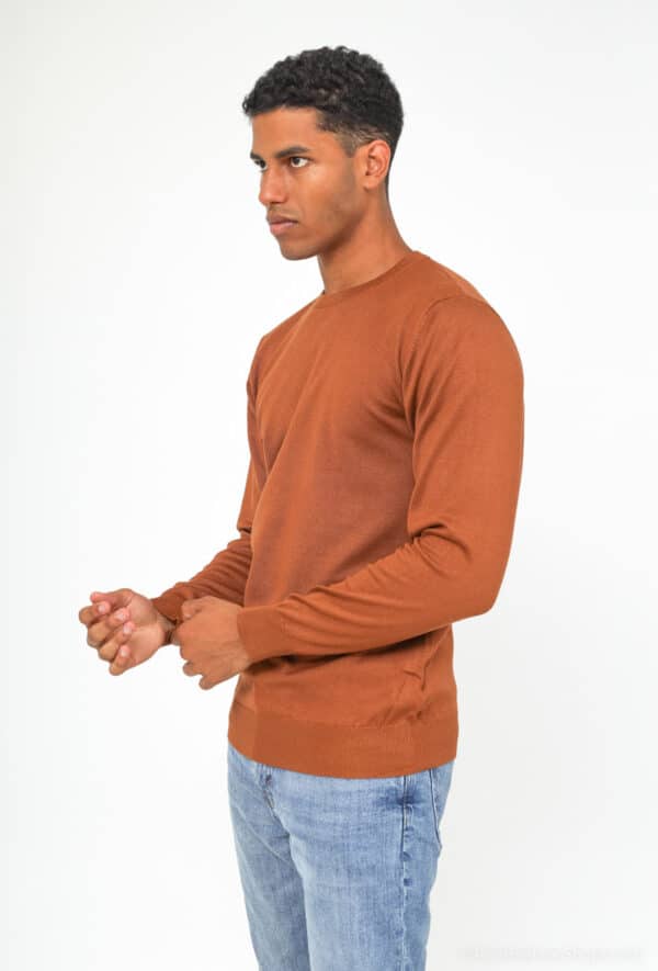 aarhon-pull-a-col-rond-basique3-camel-3